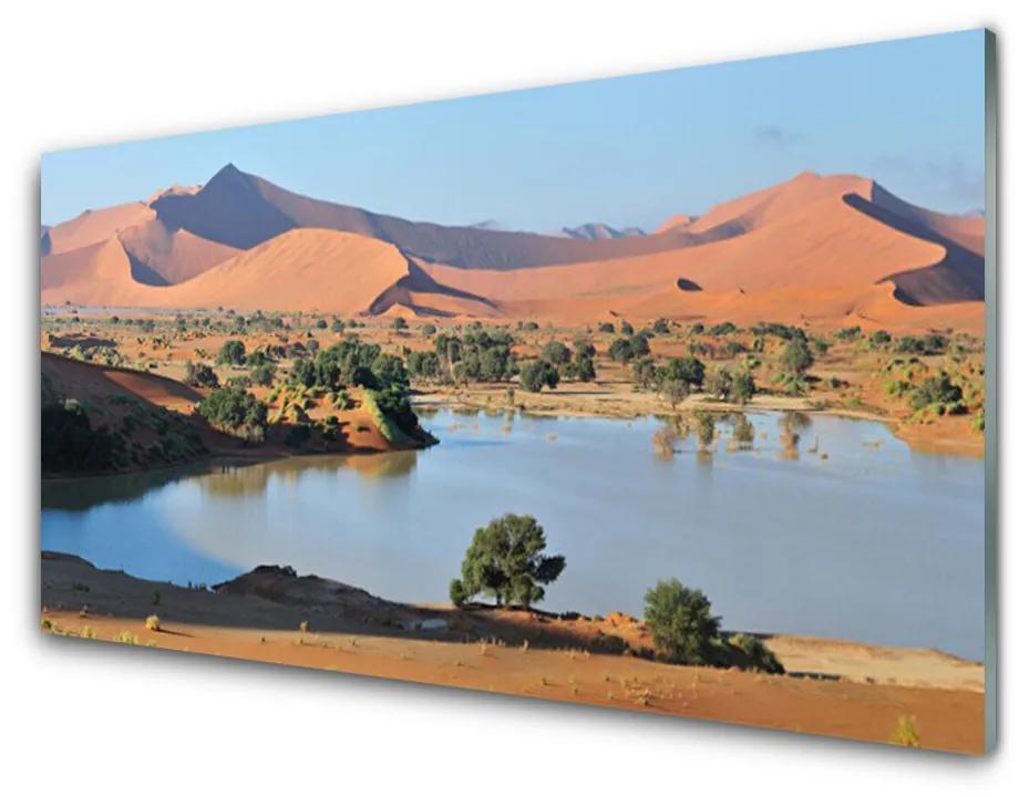 Obraz plexi Jazero púšť krajina 100x50 cm
