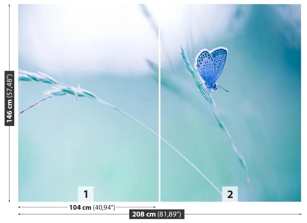 Fototapeta Vliesová Motýlie tráva 104x70 cm