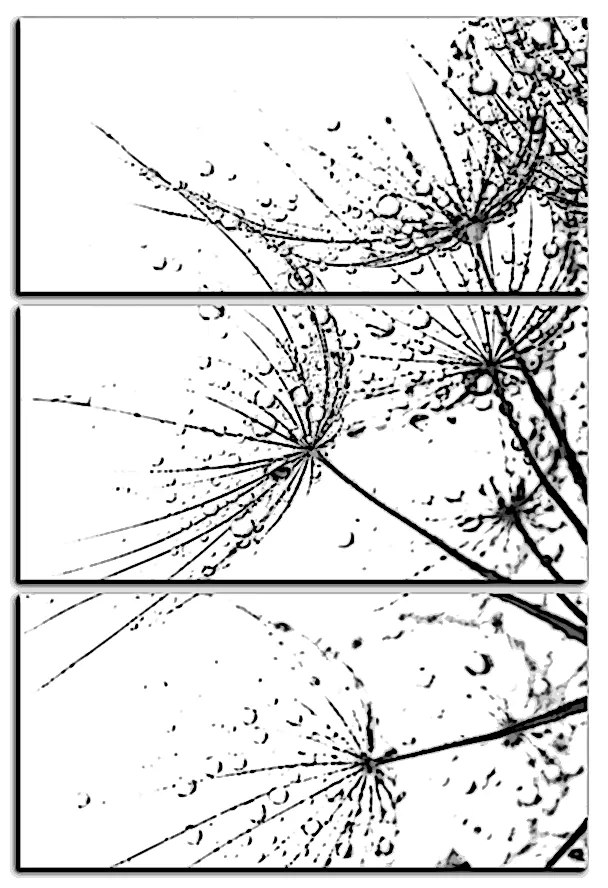 Obraz na plátne - Pampeliškové semienka s kvapkami vody - obdĺžnik 7202QB (120x80 cm)
