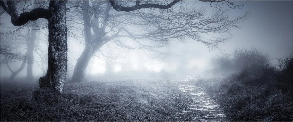 Obraz - Cesta v hmle (120x50 cm)