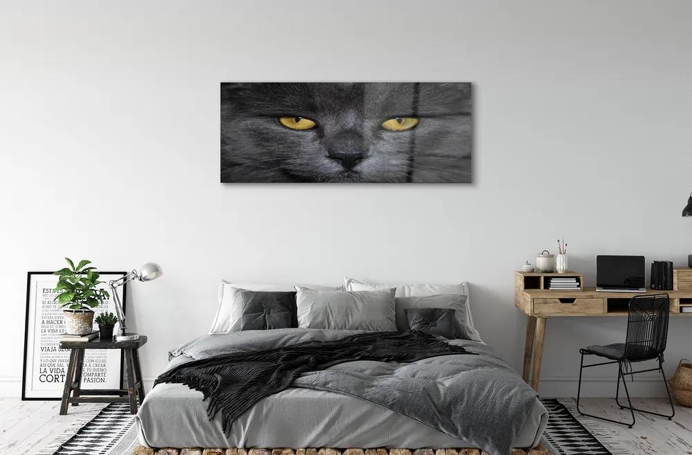 Obraz na akrylátovom skle Čierna mačka 120x60 cm