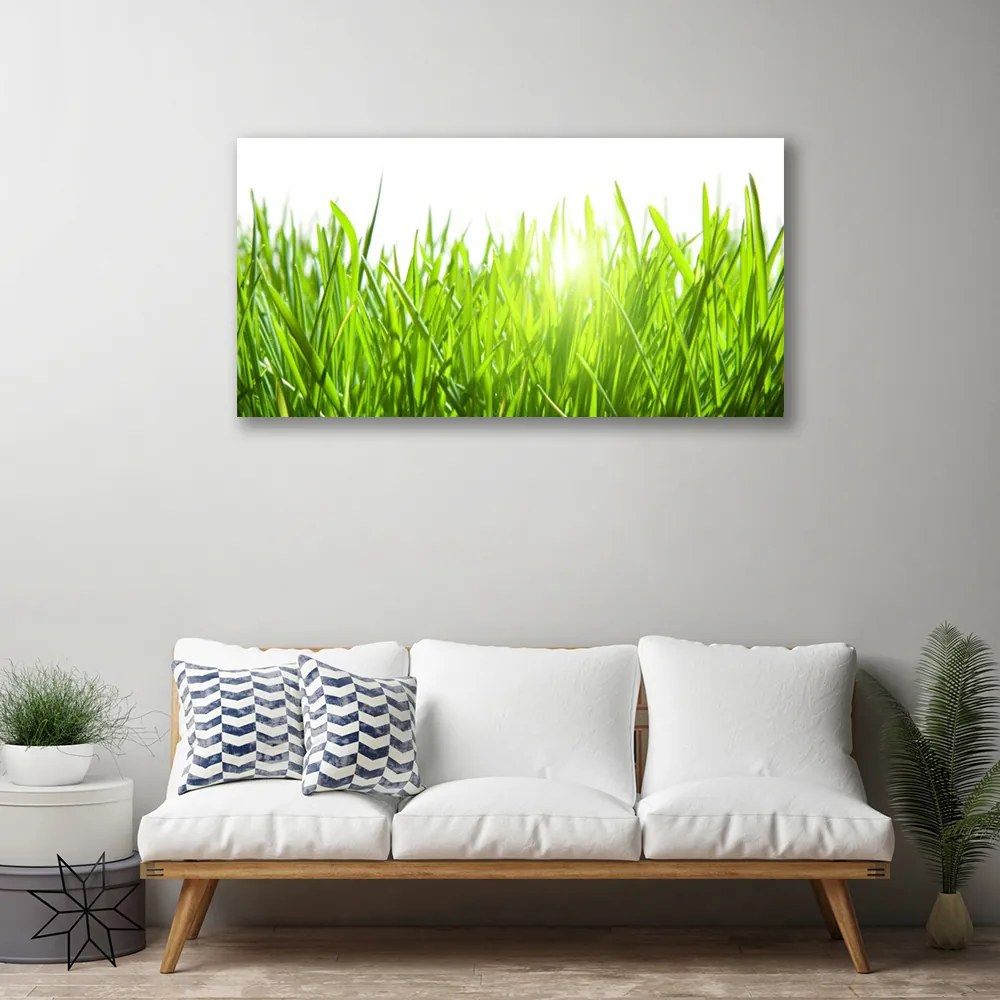Obraz Canvas Tráva rastlina príroda 120x60 cm