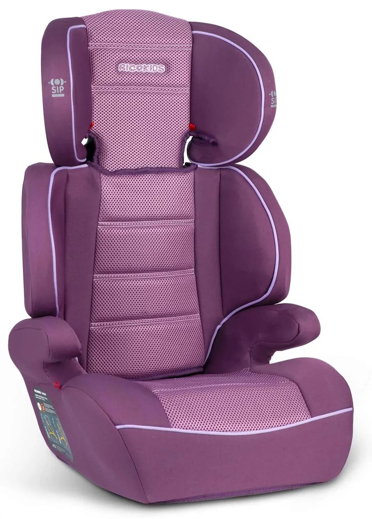 Autosedačka, Sandro, fialová, 15 - 36 kg,  Ricokids | BCJ7027
