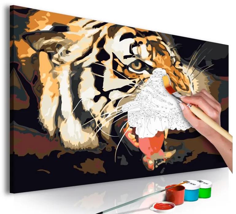 Obraz - maľovaný podľa čísel Tiger Roar