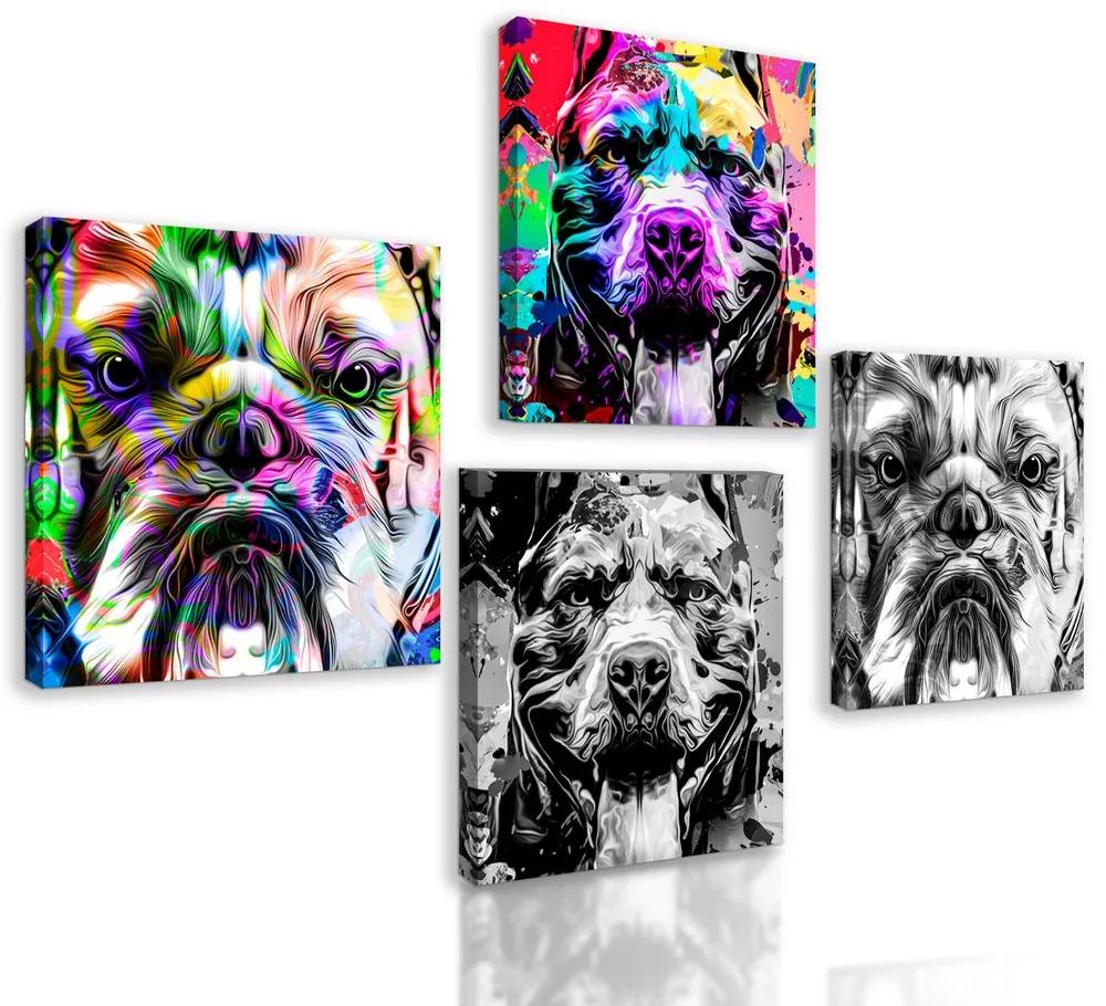 Set obrazov psy v abstraktnom prevedení