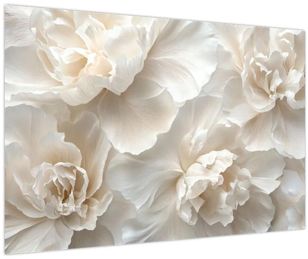 Obraz - Jemné pivonky (90x60 cm)
