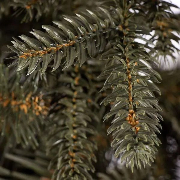 SPRINGOS Prémiový umelý vianočný stromček 220 cm, alpský smrek CT0099