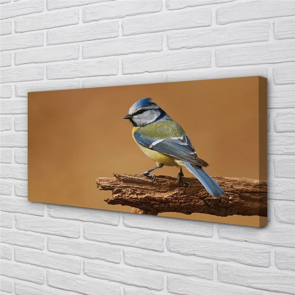 Obraz na plátne Vták 140x70 cm