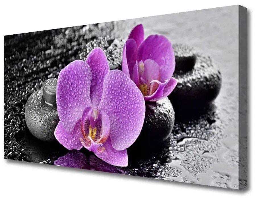 Obraz Canvas Orchidea kvety kamene zen 100x50 cm