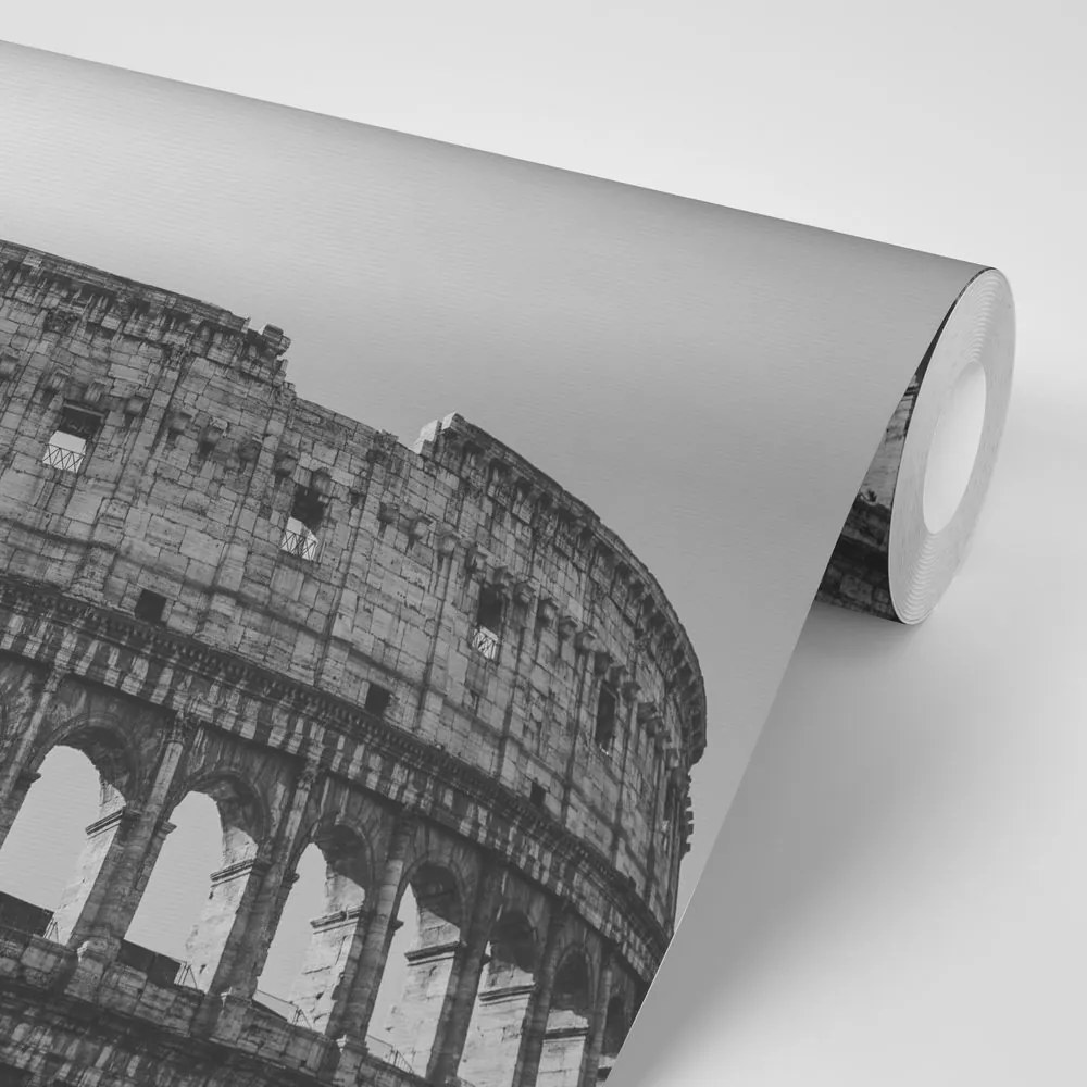 Samolepiaca fototapeta Koloseum v čiernobielom prevedení - 375x250
