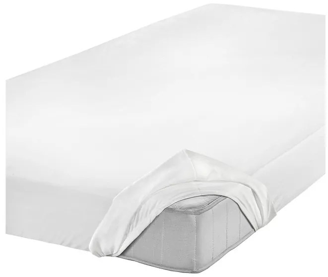 Setex Inkontinenčná ochrana matraca, 2-vrstvová (100 x 200 cm) (100166718)