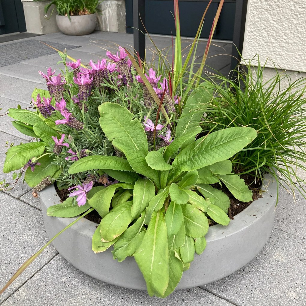 Miska na dekorácie CIRCULO, sklolaminát, Ø 40 cm, sivá