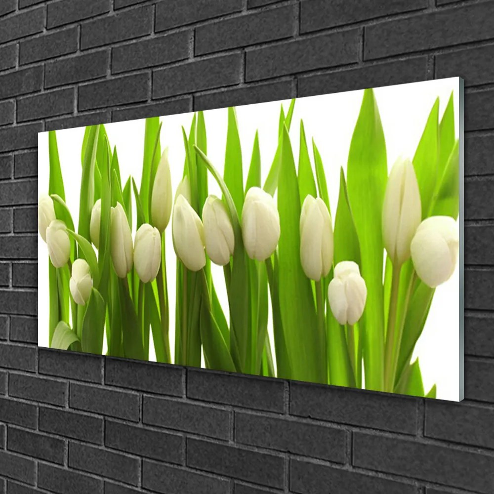 Obraz na skle Tulipány kvety rastlina 140x70 cm