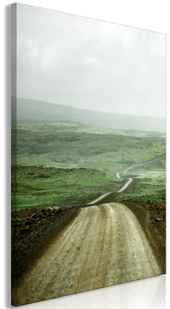 Artgeist Obraz - Road Across the Plains (1 Part) Vertical Veľkosť: 80x120, Verzia: Premium Print