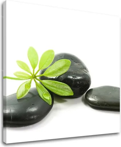 Obraz na stenu FENG SHUI FS041E12