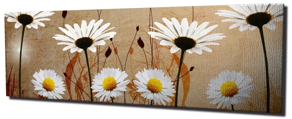 Obraz na plátne Daisies safari PC042 30x80 cm