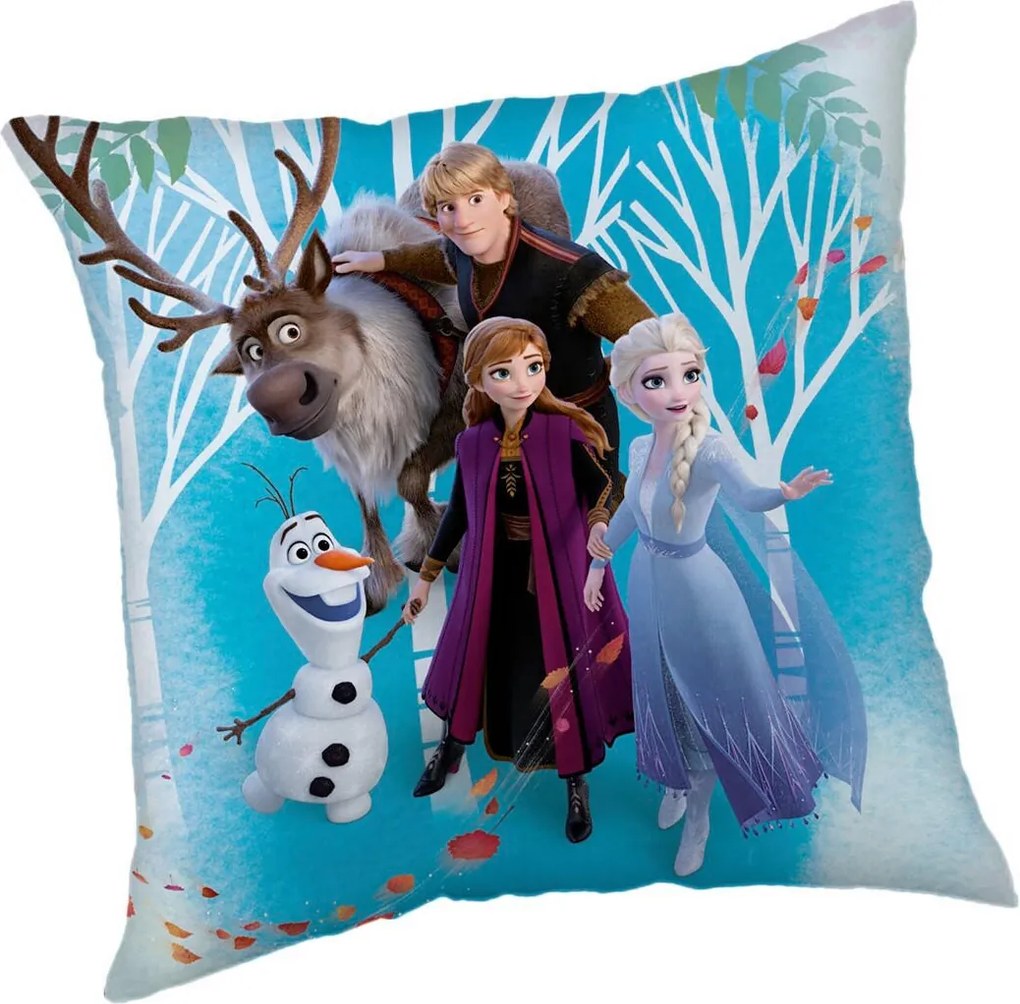 XXXLutz DEKORAČNÝ VANKÚŠ 40/40 cm - Textil do domácnosti - 003580054801