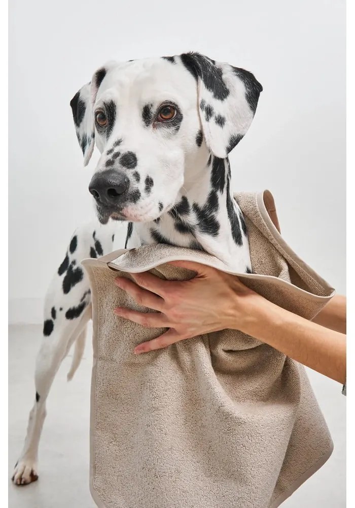 Uterák pre domáceho maznáčika Secco Midnight S/M – MiaCara