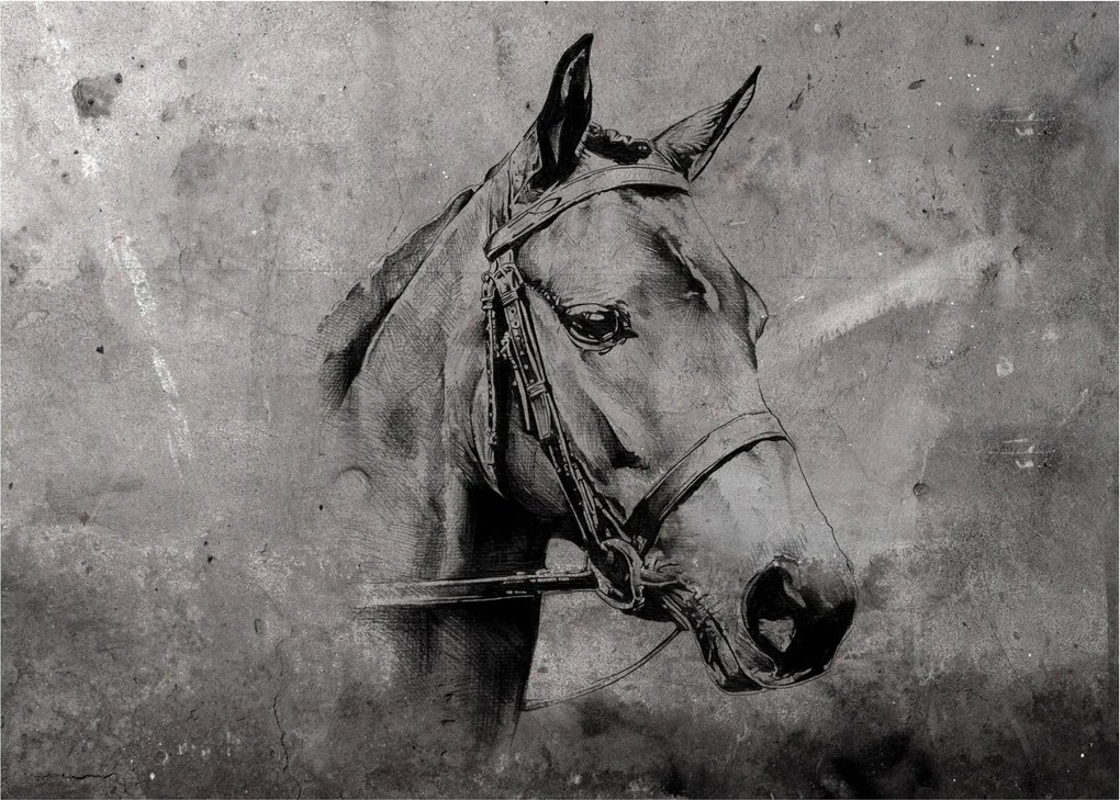 Sklenený obraz - Portrét koňa (70x50 cm)