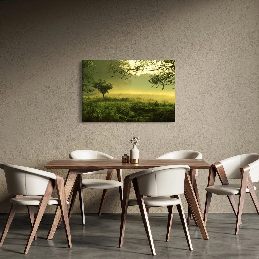 Obraz - Prebúdzajúci sa les (90x60 cm)