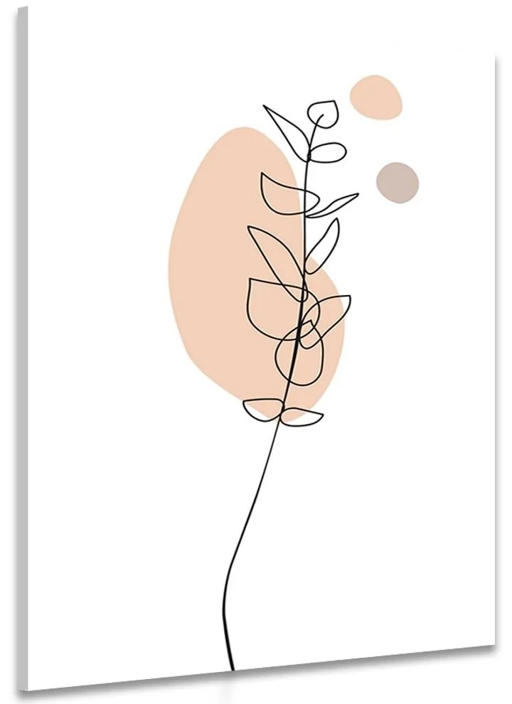 Obraz minimalistický list na bielom pozadí No3 - 60x90