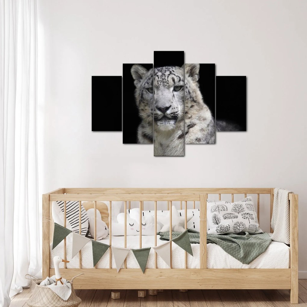 Obraz - Leopard snežný (150x105 cm)