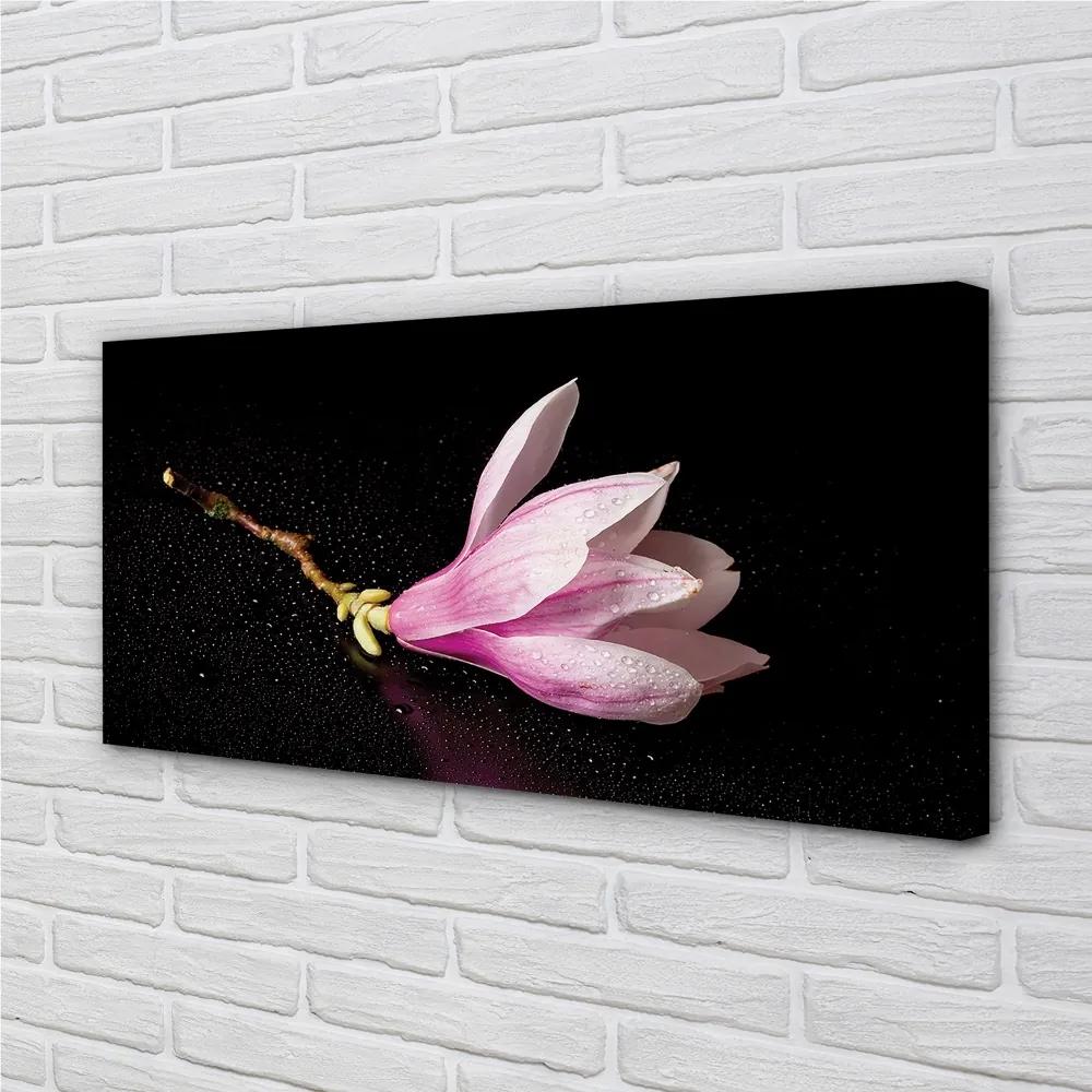 Obraz canvas kvetina voda 140x70 cm