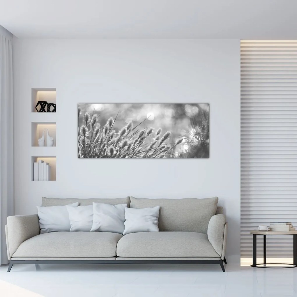 Obraz - Béžová soft grass N⁰1 (120x50 cm)