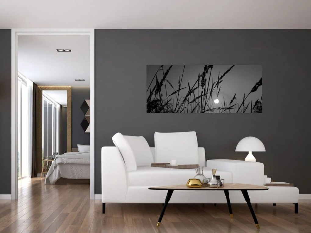 Obraz - Lúka so západom slnka (120x50 cm)