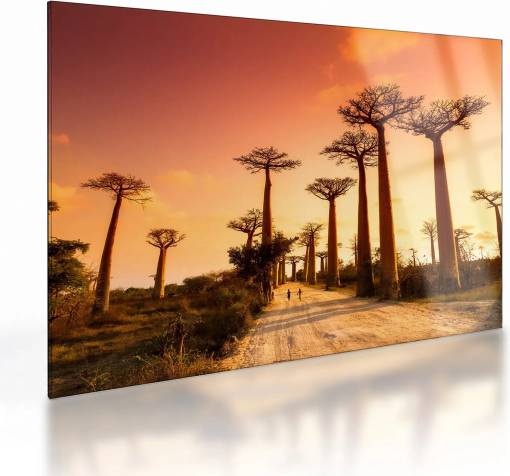 Sklenený obraz - Západ slnka v uličke Baobab (70x50 cm)