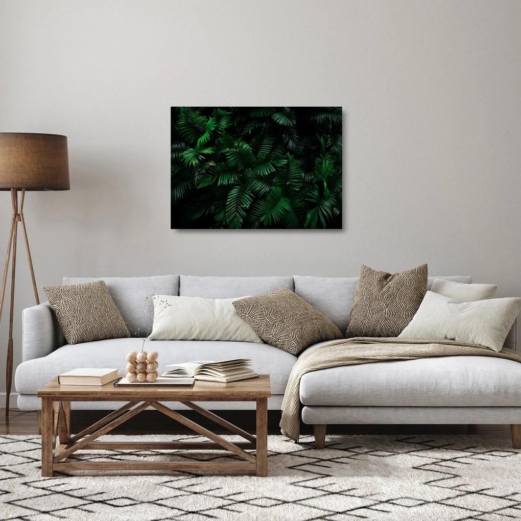 Sklenený obraz - Tropické papradie (70x50 cm)