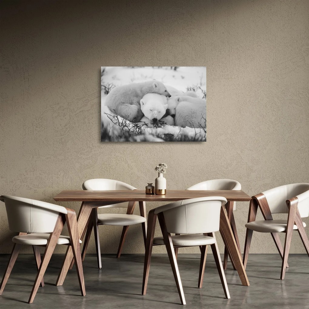 Sklenený obraz - Ľadové medvede (70x50 cm)