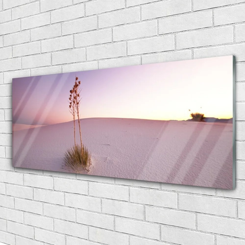Obraz plexi Púšť písek krajina 125x50 cm
