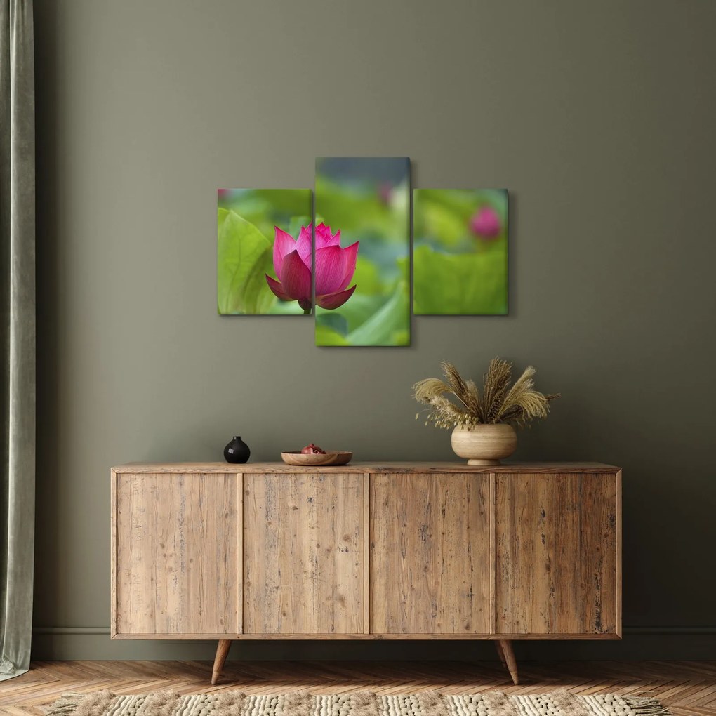 Obraz - vodná rastlina (90x60 cm)