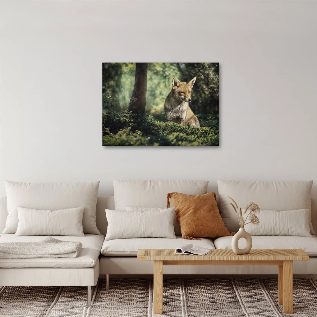 Obraz líšky (70x50 cm)