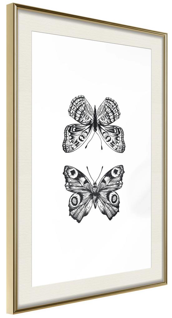 Artgeist Plagát - Two Butterflies [Poster] Veľkosť: 20x30, Verzia: Čierny rám