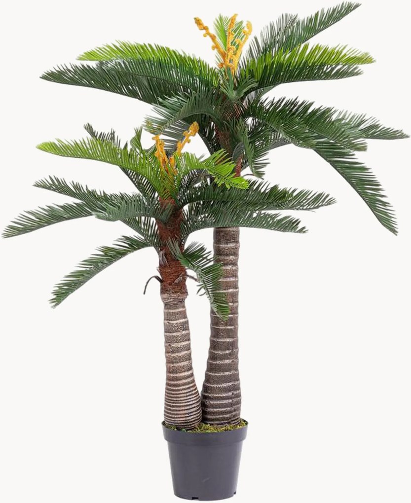 Exteriérová umelá rastlina Cycas, V 150 cm