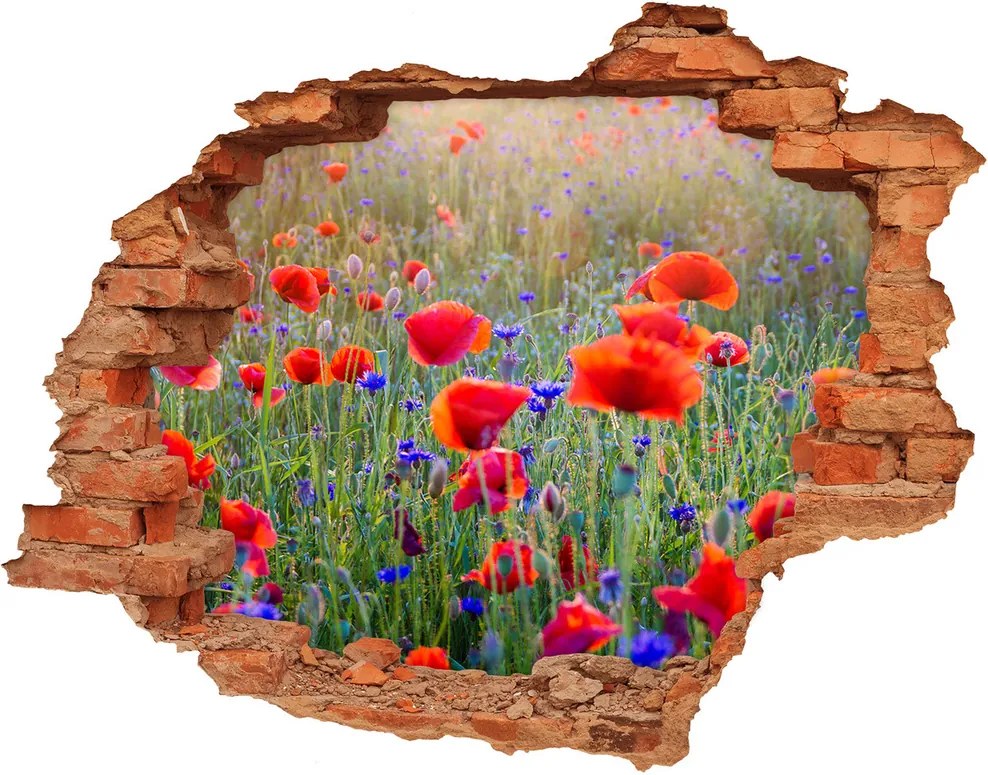 Samolepiaca diera na stenu Poľné kvety WallHole-cegla-90x70-65959167
