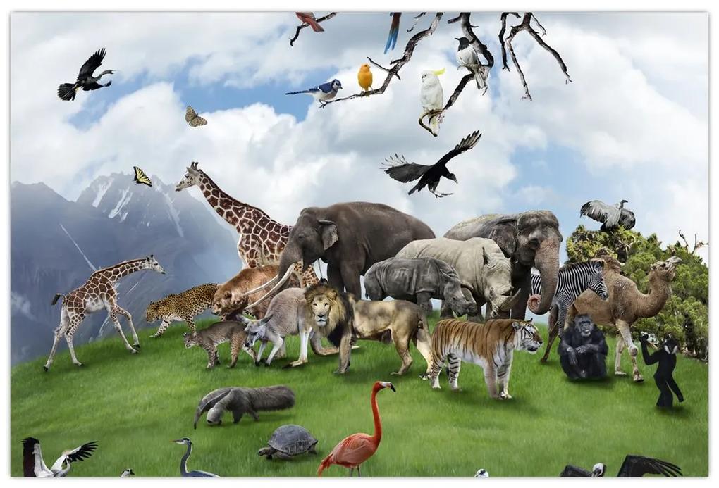 Obraz - Zvieratká na ostrove (90x60 cm)