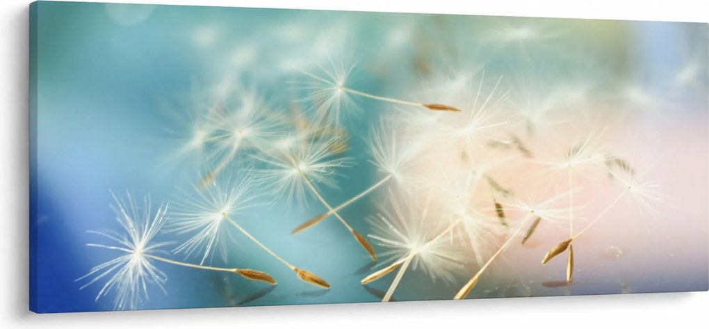 Obraz - šťastia (120x50 cm)