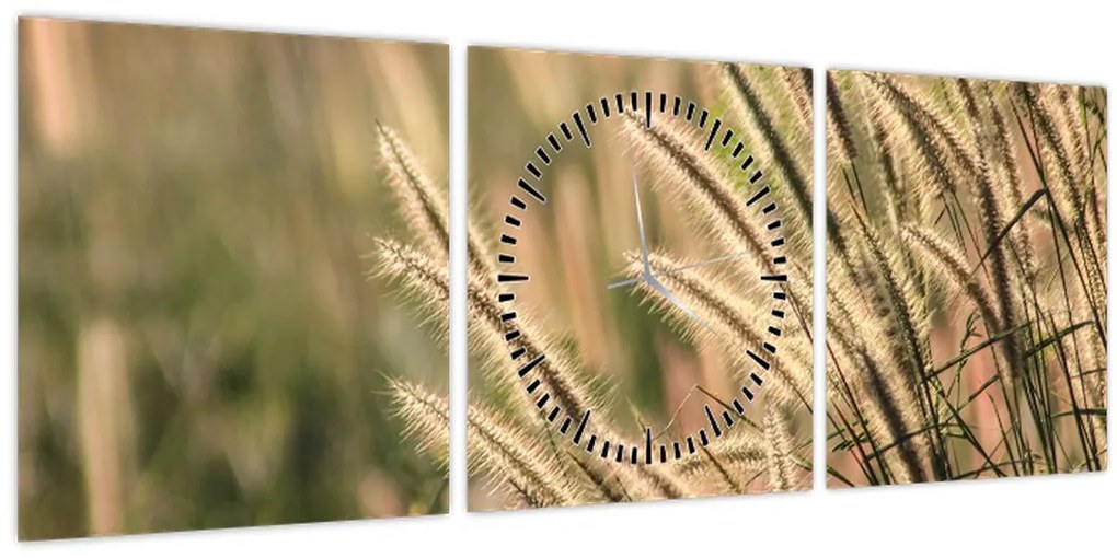 Obraz - Obilie (s hodinami) (90x30 cm)