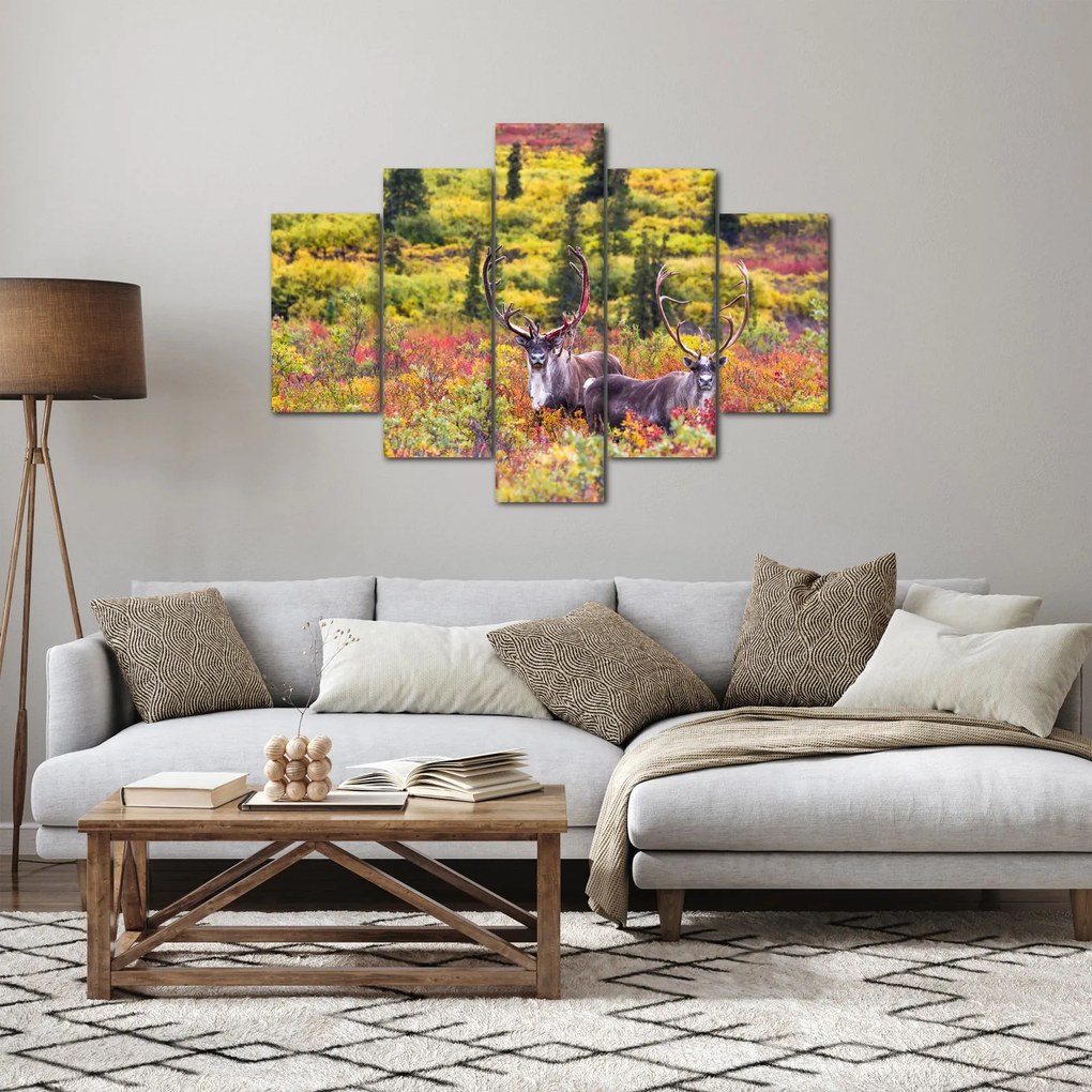 Obraz - Karibu na Aljaške (150x105 cm)