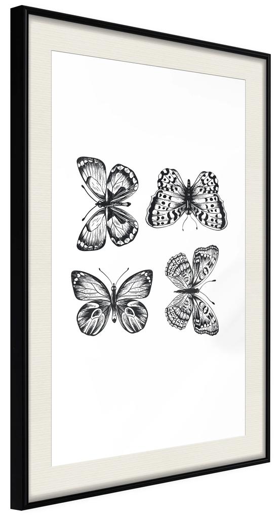 Artgeist Plagát - Four Butterflies [Poster] Veľkosť: 40x60, Verzia: Zlatý rám