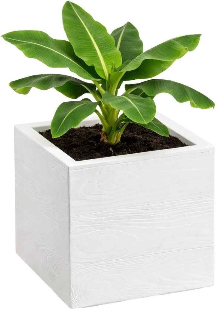 Sada 2 ks květináčů BETONIQUE 30x30/30x60 cm - výber z 4 prevedení