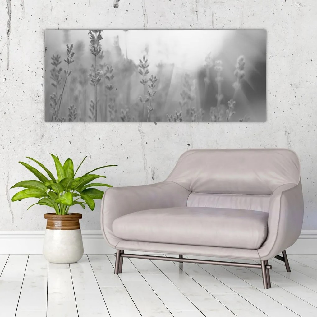 Obraz - Levanduľa (120x50 cm)