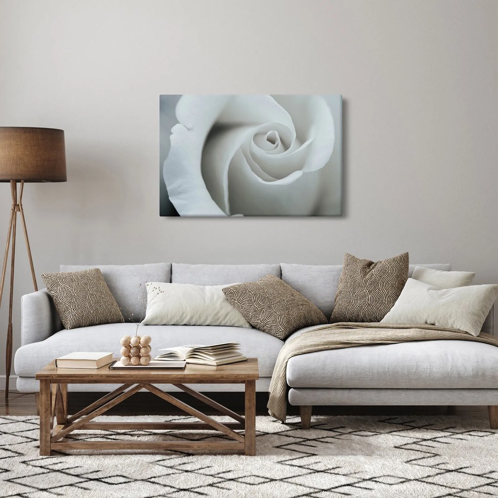 Obraz - Biela ruža (90x60 cm)