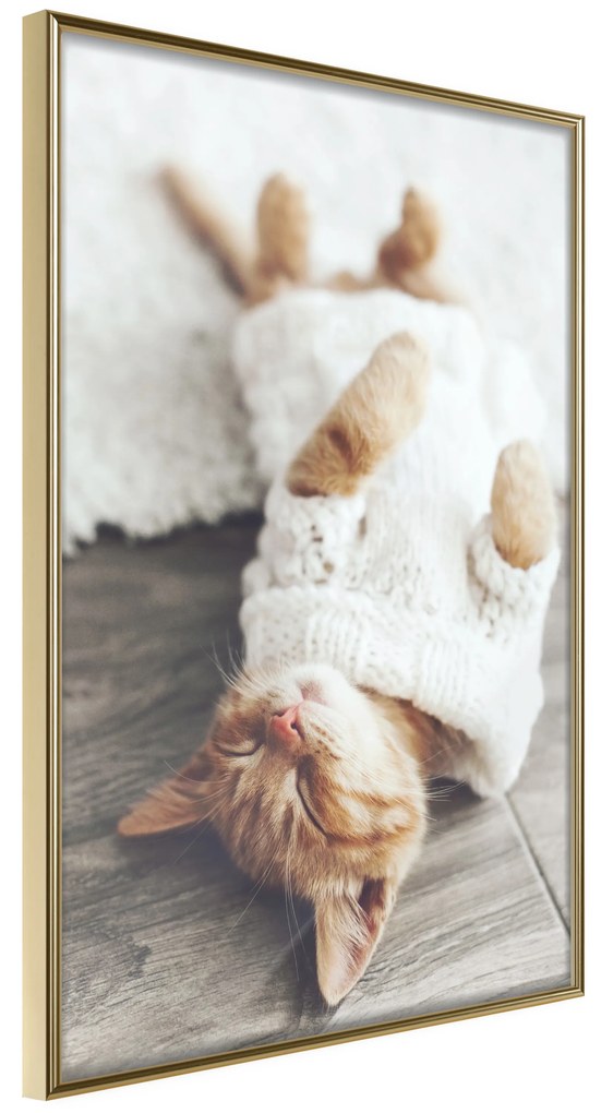 Artgeist Plagát - Lazy Cat [Poster] Veľkosť: 30x45, Verzia: Zlatý rám s passe-partout