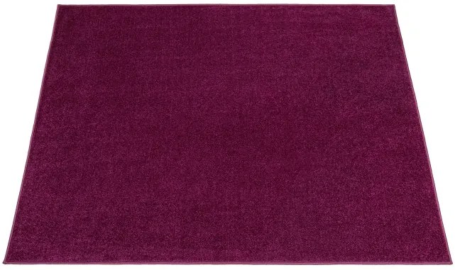 Metrážny koberec CAROUSEL 114 NSF fialový
