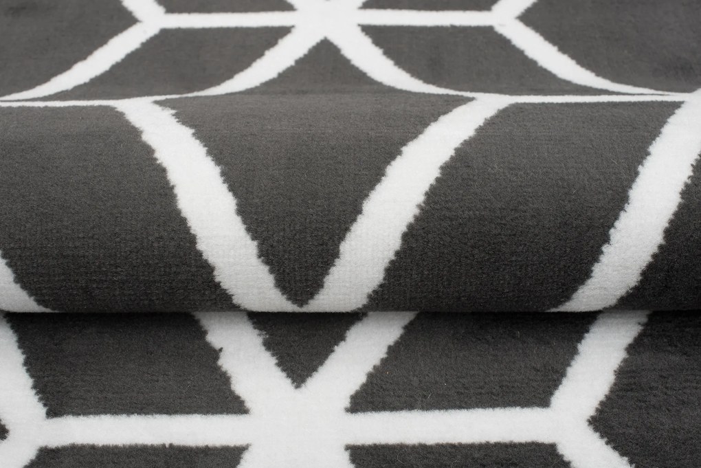 Moderný koberec C434A DARK GREY/WHITE BALI PP White Rozmer: 180x250