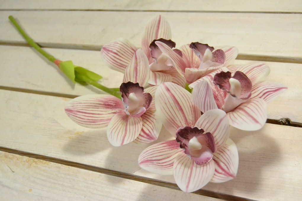 Umelá orchidea - pásikavá (V:52cm) 099